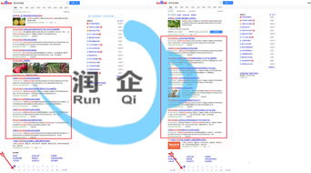 平頂山網絡公司中的技術領航者 探索潤企網絡科技的SEO與網絡技術服務